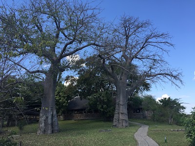 Photos of Mvuu Camp