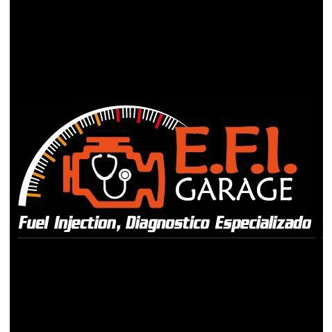EFI Garage - Visual