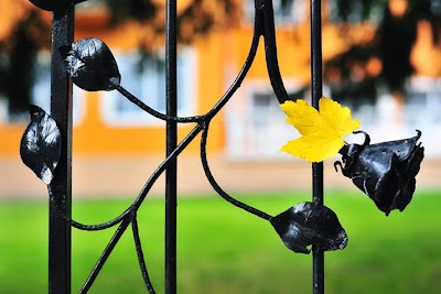 Photos of Villa Rosa Nursing Home - Matrafured