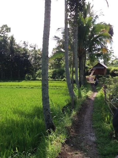 Photos of Burung Walet Waterfall