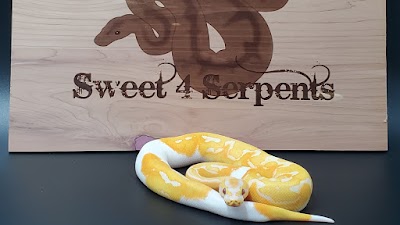 Sweet4Serpents