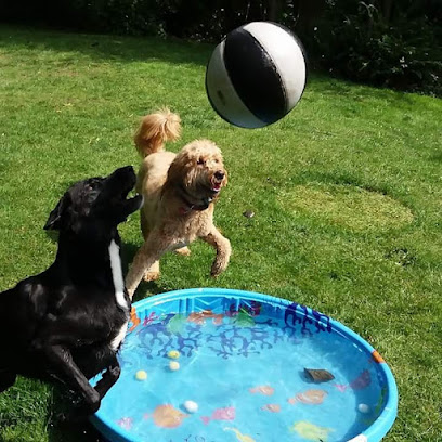 Auntie Beth's Pet Service