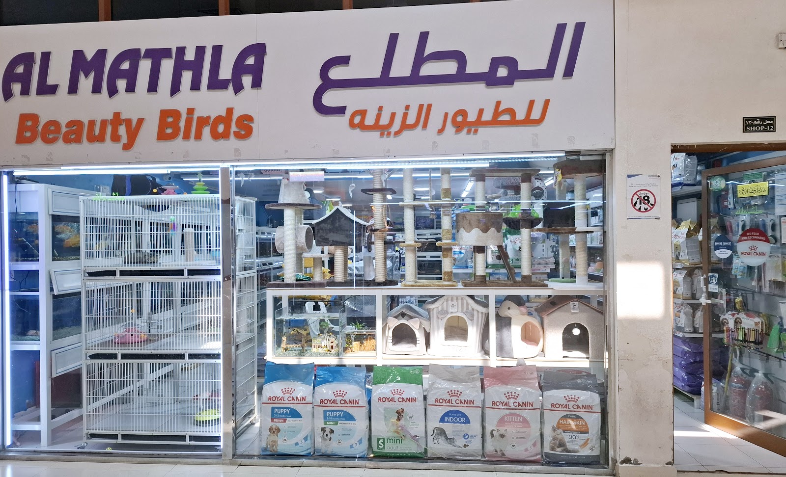 AL MATHLA BEAUTY BIRDS AND FISHES - صورة 3
