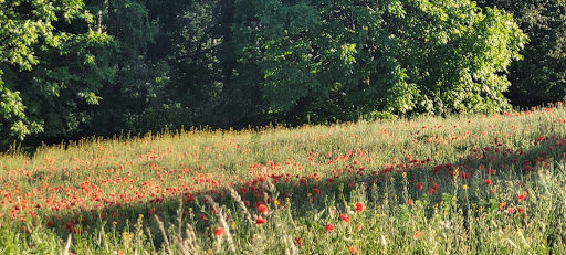 Handbergerweg - Visual