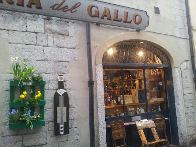 Osteria Del Gallo