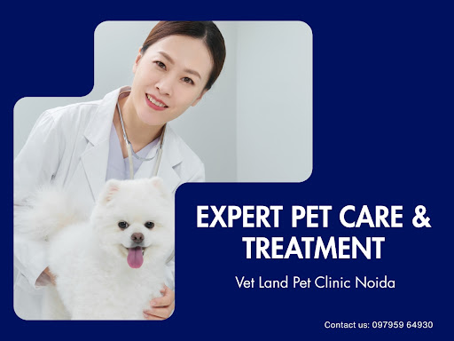 Expert Pet Care & Treatment | Vet Land Pet Clinic Noida post image