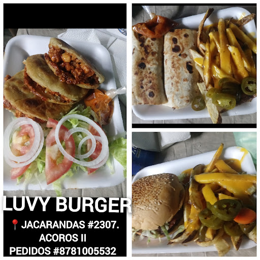 LUVY Burger - Visual