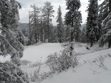 Bara Gali Summer Camp, University of Peshawar nathia-gali