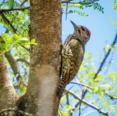 Photos of Mvubu Campsite, Kabouga, Addo