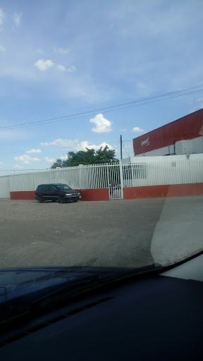 Lyncott Aguascalientes - Visual