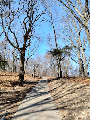 Neutaconkanut Hill Conservancy - Thumbnail