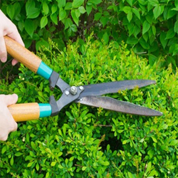 FOX Lawn Mowing & Gardening Panorama - Thumbnail