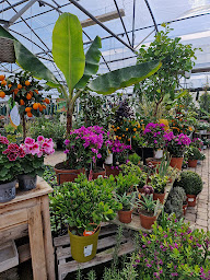 Photo n°6 de jardin dufaud à Saint-Georges-de-Reneins (Jardinerie)