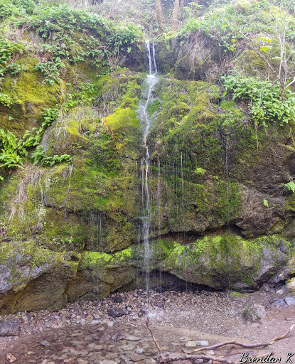 Buck Gulch Falls Gallery - United States