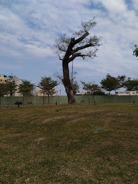 Chaochun Park, Author: Rodin Lee