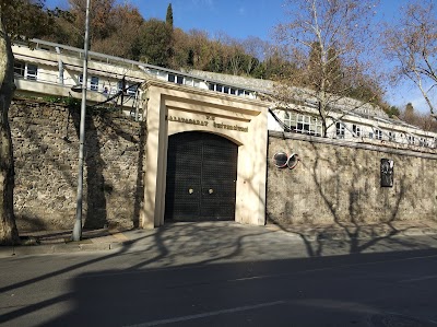 Galatasaray University