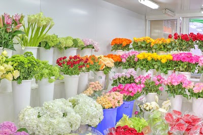 Photos of June Flowers LLC