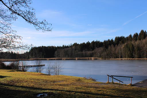 Holzweiher - Visual