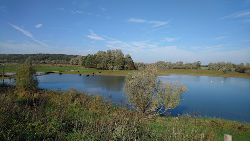WAYPOINT 1 - Netherlands