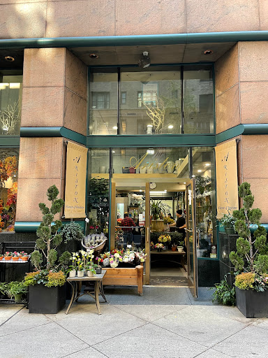 Ariston Floral Boutique Gallery - United States