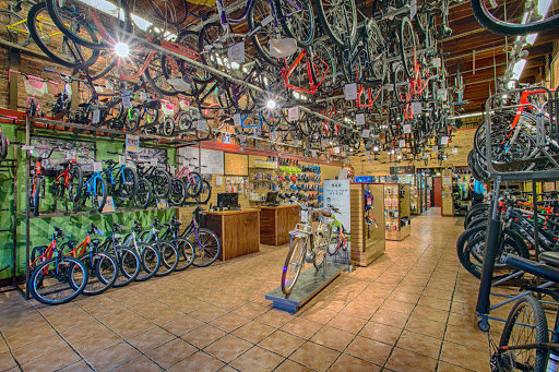 B & L Bicycles - Thumbnail