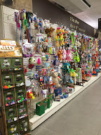 Aniland CroQ' à Cahors