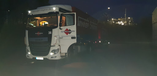 S.A.M. Logistic - Visual