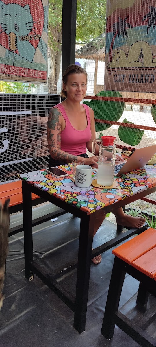 Kafe Kuching - Cats of Gili — photo 4