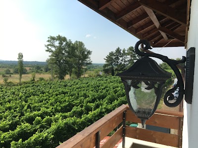 Photos of Esterra Vini & Pool