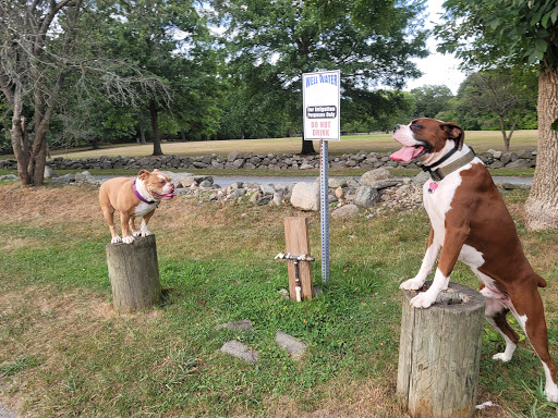 Danvers Dog Park - Thumbnail