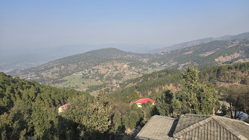 Gallery image 14