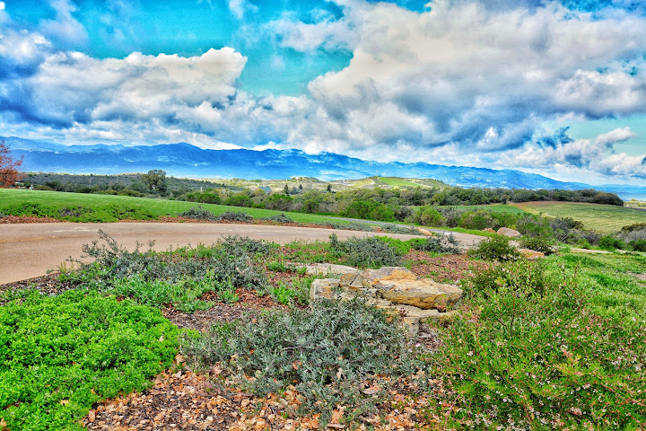 Noble Wine Tours by null