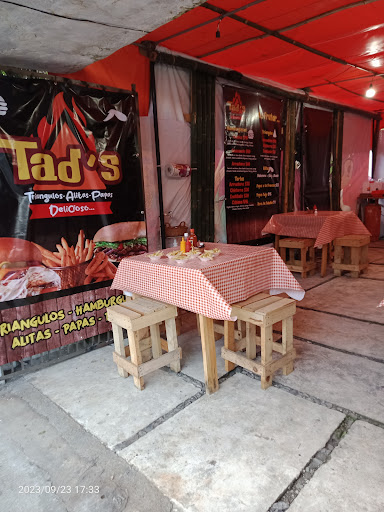Tad's Triángulos, Alitas y Papas.