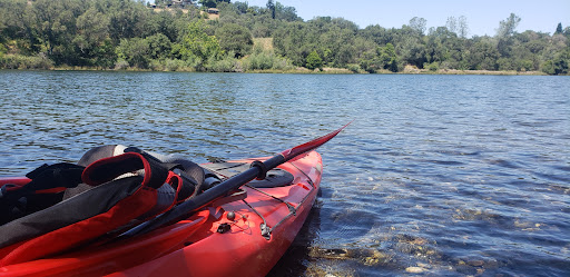 Lake Natoma Island - Thumbnail