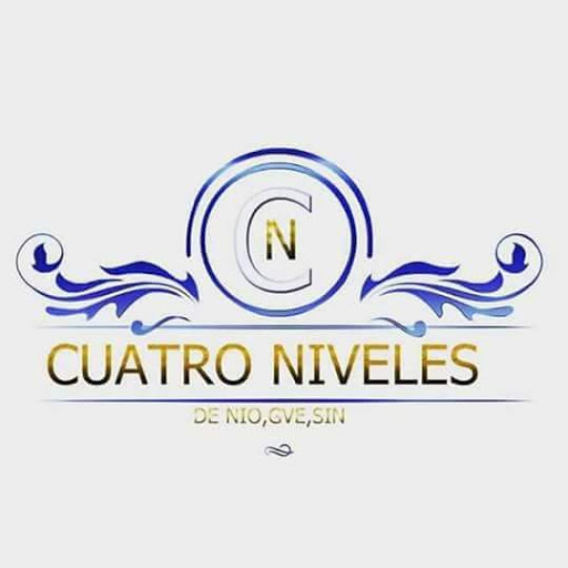 Cuatro niveles - Visual