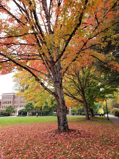 College of Science