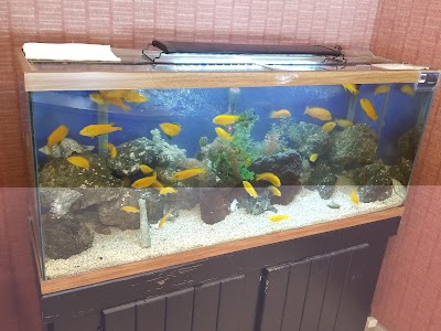 The Aquarist Company