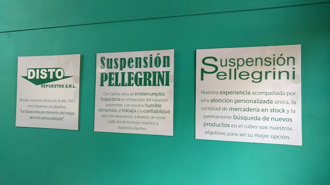 Suspension Pellegrini, Author: Lisandro Dinolfo