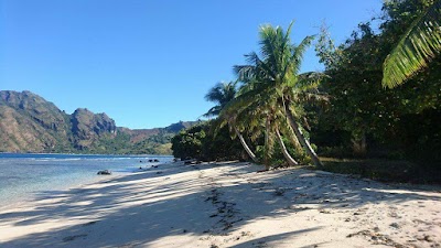 Photos of TrueDream Fiji
