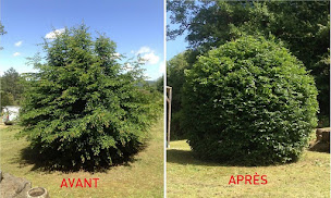 Photo n°5 de Legrain Rudy à Santeny (Service d'élagage)