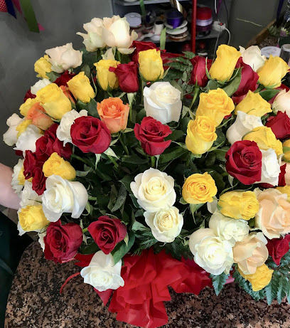 Fioreria Stefania Treviso