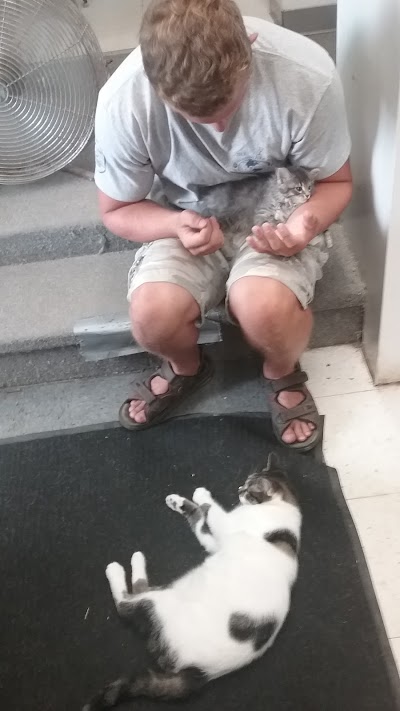 Photos of Pets & Things