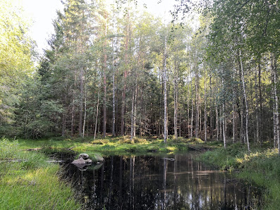 Bergaskogen 716 31 Fjugesta, Sverige