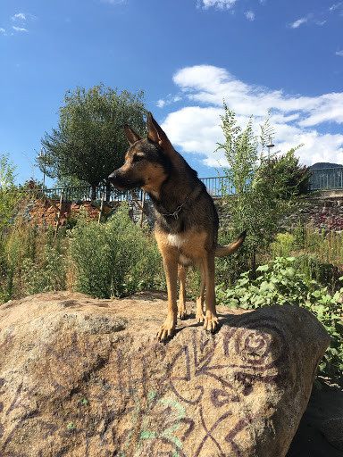 Hundepark Eisackufer