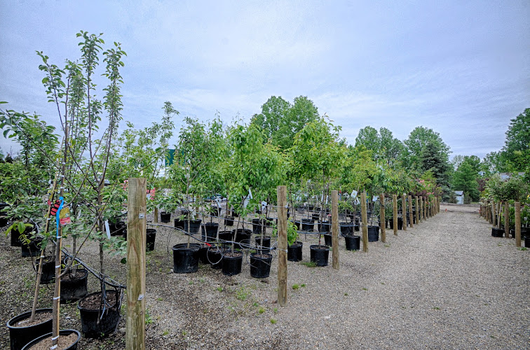 Suncrest Gardens