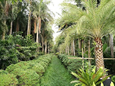 Photos of Masin Nursery