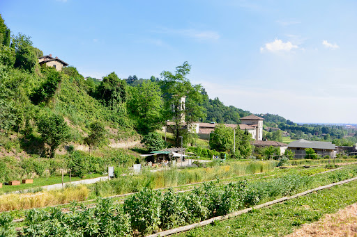 Botanic Garden Of Bergamo, Astino Section - Thumbnail