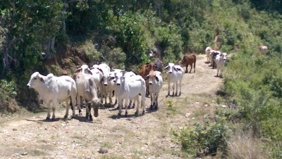 Photos of Finca Luchimita