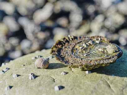 Danmarks Skaldyrshovedstad