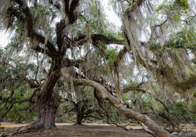 Louisiana Northshore / St. Tammany Parish Tourist and Convention Commission